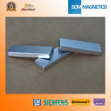 Kundengebundener Magnet-Form-starker Monopol-Berg-Magnet N35-N52